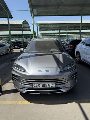 BYD Champion Gibrid 2024