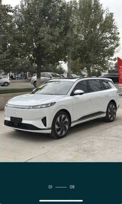 Dongfeng 008 Max