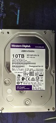 Western Digital 10 TB