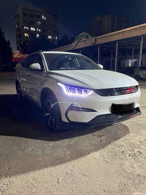 BYD sonplus sotiladi