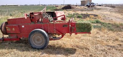 5500$ kelishiladi
