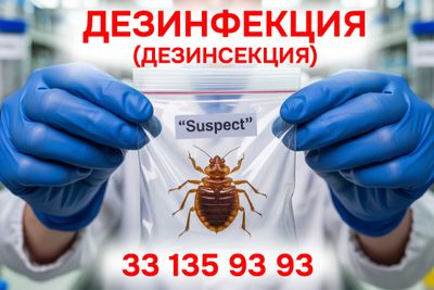Профессиональная дезинфекция, дезинсекция и дератизация в Ташкенте.