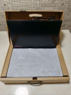 Asus Tuf Gaming.