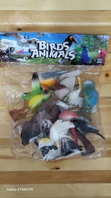 Морские и Дикие Животные. Птицы и насекомые