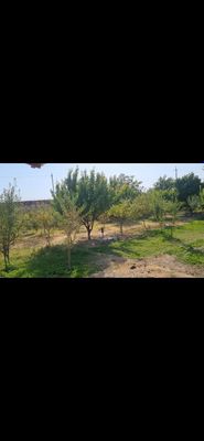 земельный участок 12 соток