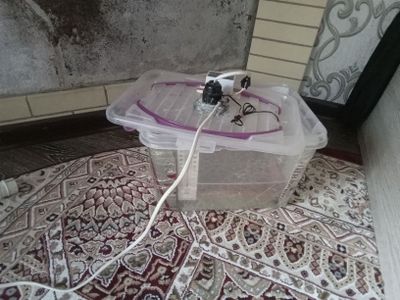 25 ta tovuq tuxum uchun inkubator