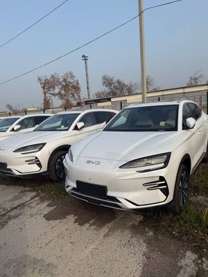 BYD chepion - 2025 Toshkentda tayyor