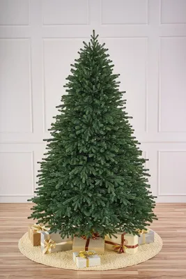 Новогодняя ёлка - Царская одна из самых нарядных и густых ёлок.