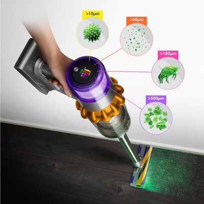 Dyson V15 detect absalute