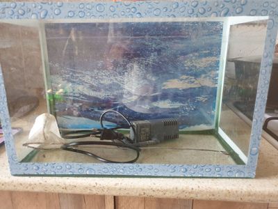 Akvarium va filtr sotiladi sachok qoshib beriladi