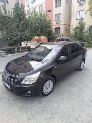 Kobalt 2020 kraska radnoy metan