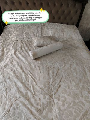 hamma narsa holati ideal rasmga yozilgan