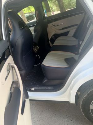 Byd chempion toza
