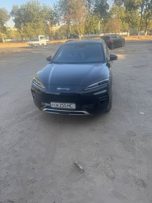 Byd EV song plyus chempion