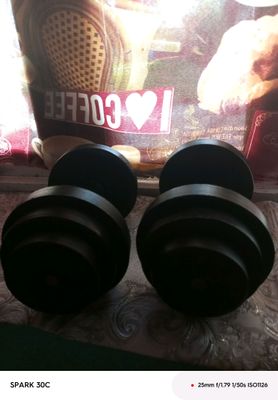 Gantel 8kg DAN 16 kg