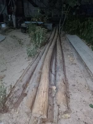 Starapl starapila terak 6 metrlik