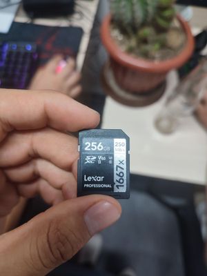 256Gb v60 fleshka