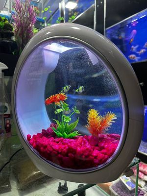Xitoy akvarium SOBO