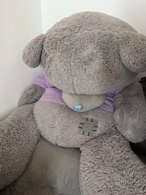 Teddy