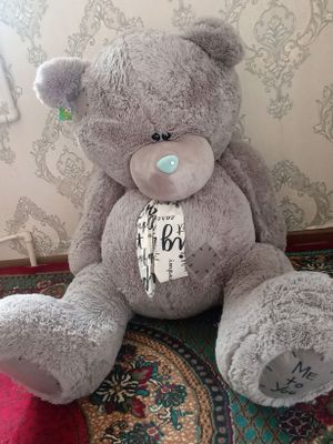 Teddy