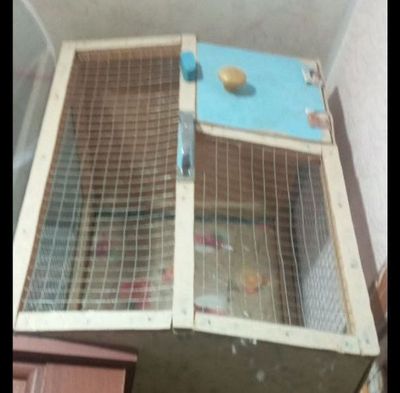 Клетка для животных.