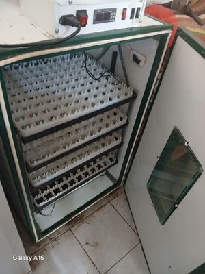 Inkubator 352ta lik 200$