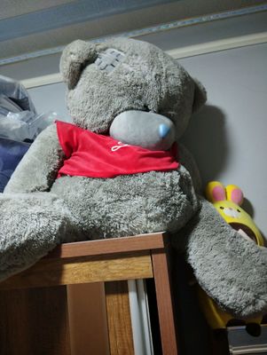 teddiy ayiqcha