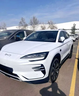 nasiya va naxt savdoga BYD Chempion