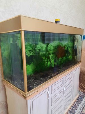 Продаётся Аквариум 500л. 150×70×47sm