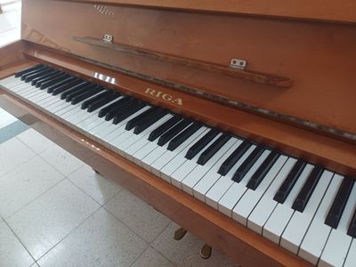 Рига профессионалная