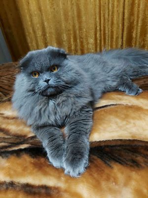 Вязка