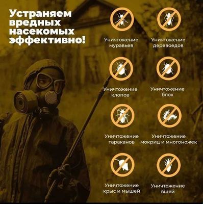 Качество 100% дезинфекция дезинсекция dizinfeksiya dezinfeksiya taraka