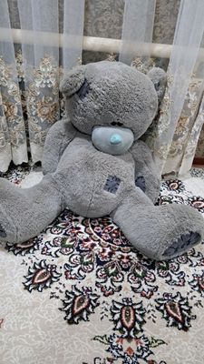 teddy ayiqchalari