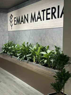 Цветы для офиса и дома в горшках оптом