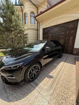 Song L full awd 2024