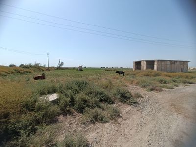 Yer sotiladi Surhondaryo viloyati Sherobod tumani