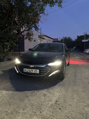 Malibu 2 premier