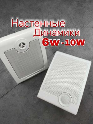 Система оповещении динамики настенные 6W-10W
