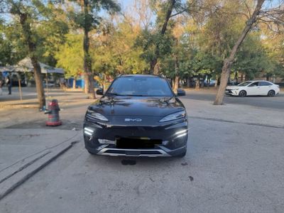 BYD Chimpiyon срочна
