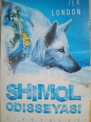 Shimol Odiseyasi