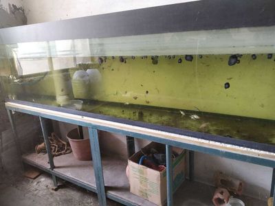 Продается большой авквариум