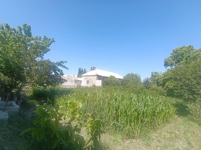 Hovli sotiladi+unumdor yer