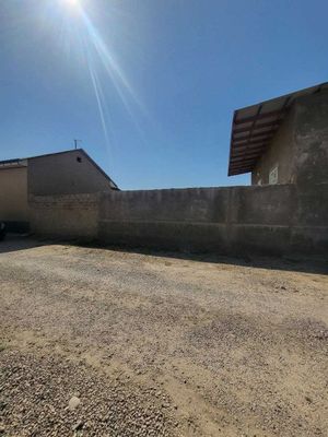 Nurafshon Toy-Tepa