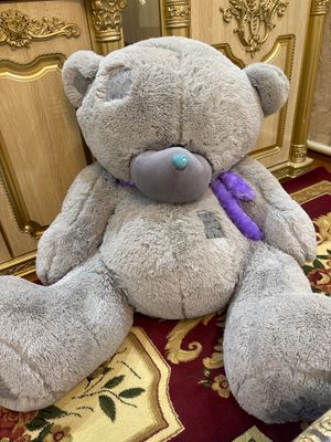 Teddy ayiq holati yangi