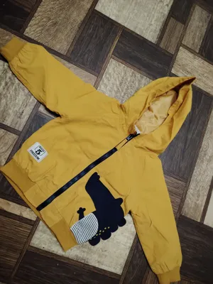 Курточка-ветровка детская на осень весну