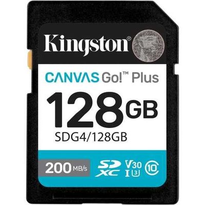 Карта памяти Canvas Go! Plus SD
