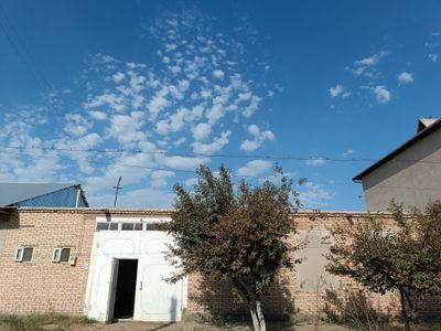 Uchastka tez va arzon narxda sotiladi
