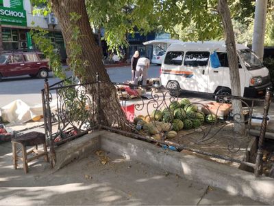 решетка из кованого металла