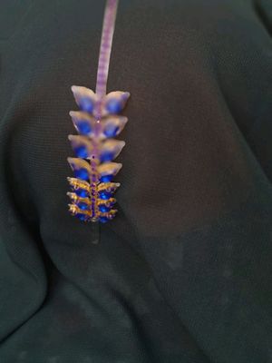 diadema