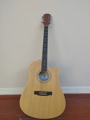 Akustik gitara